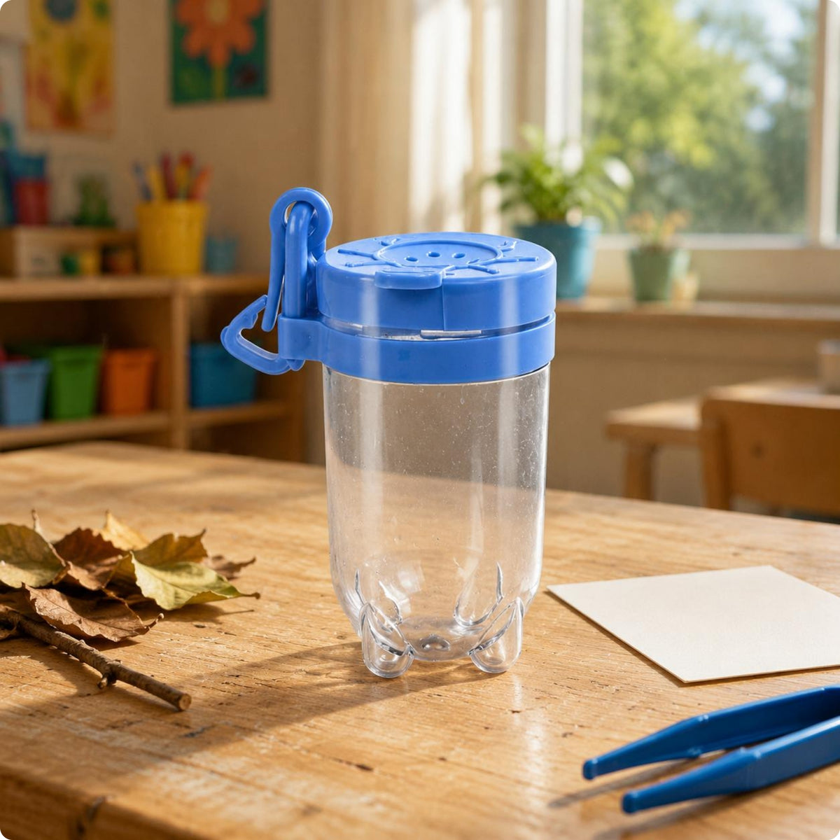 Observation Box Transparent Clear Container Hinged Lid Design Nature Study Container for Preschoolers, Outdoor Exploration