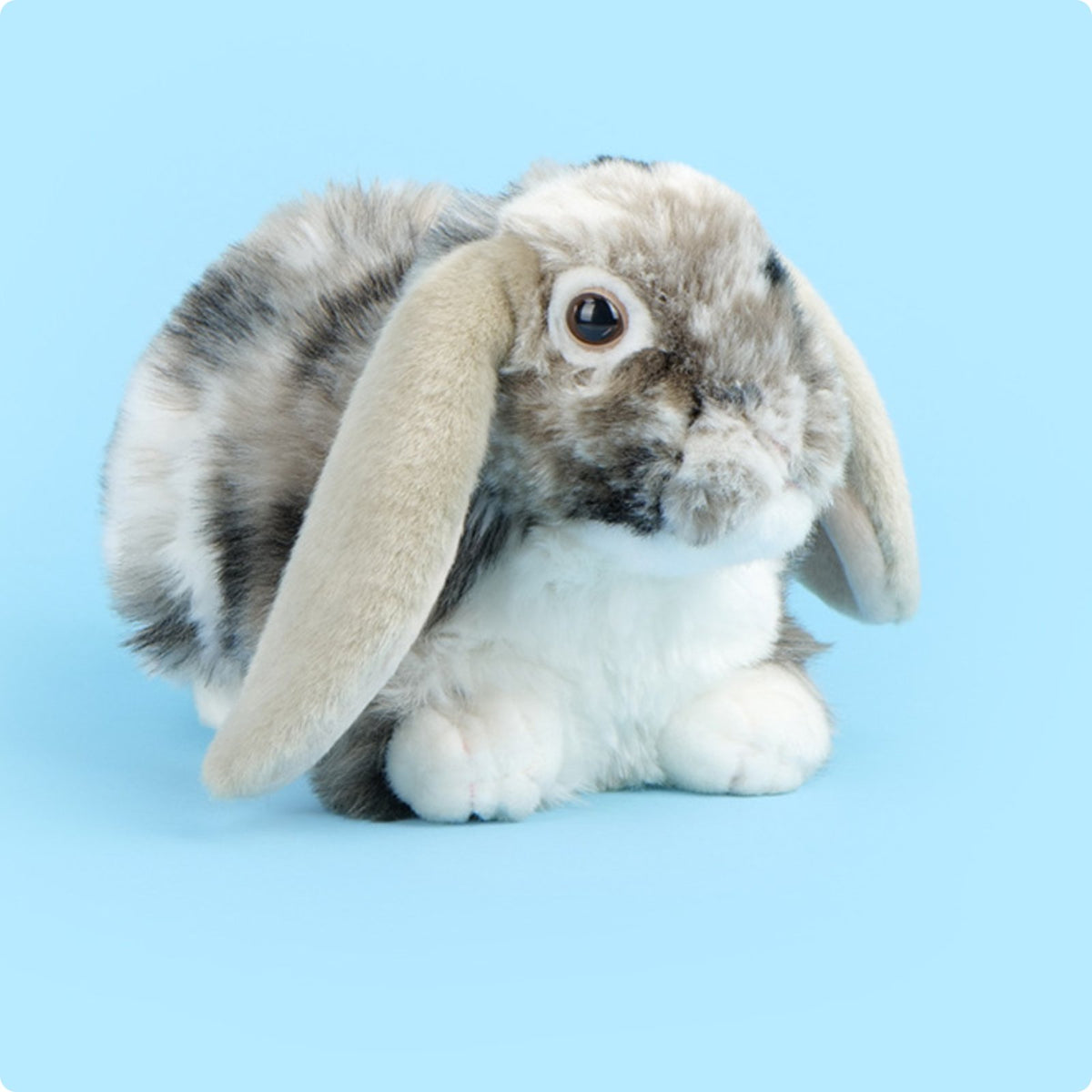 Lop Eared Rabbit Stuffed Animal Gift Idea Stuffed Rabbit Toy Realistic Design