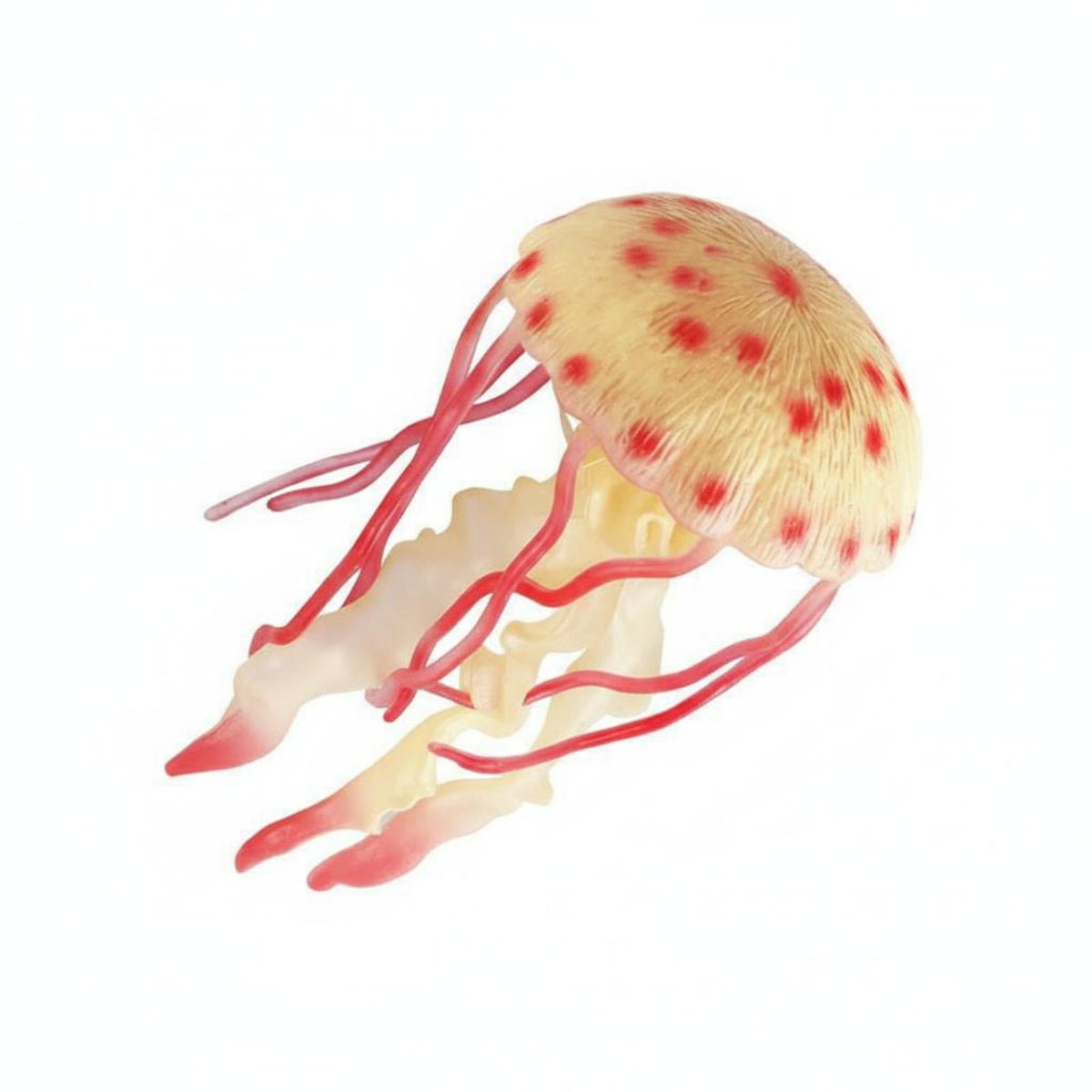 Realistic Crab Model Highly Detailed Aquarium Creature Decoration Educational