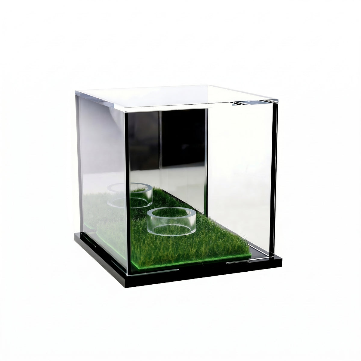 Grass-Lined Display Case Bonded Construction Acrylic Display Case Reflective