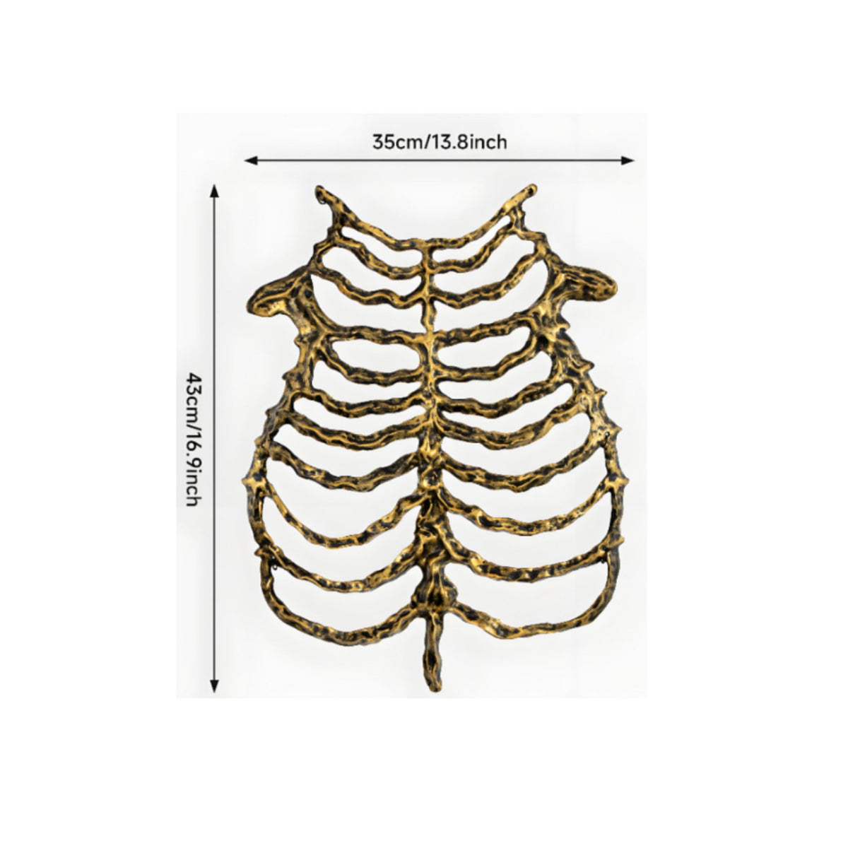 Adjustable Plastic Skeleton Rib Frame Vest Flexible Rib Frame Costume Piece Easy to Wear Skeleton Torso Costume Lightweight for Cosplayers, Adults, Women, Cosplay Events, Stage Performances