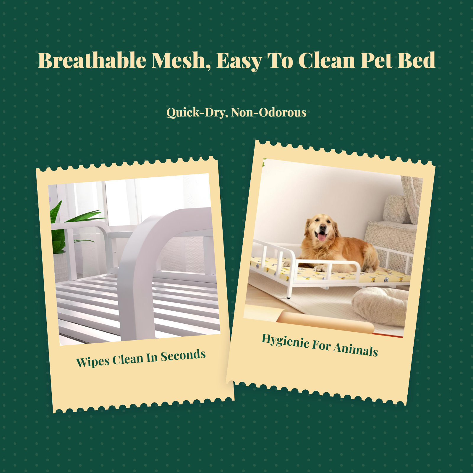 Breathable mesh elevated pet bed