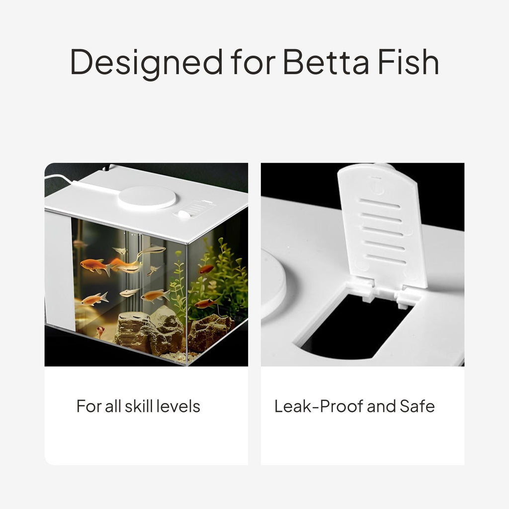 Mini Desktop Betta Fish Tank with Side Purifier, Quiet LED