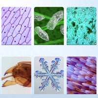 1200x Zooming Device Teaching Aid Student Zooming Device Kit Microscope for Kids, Classroom
