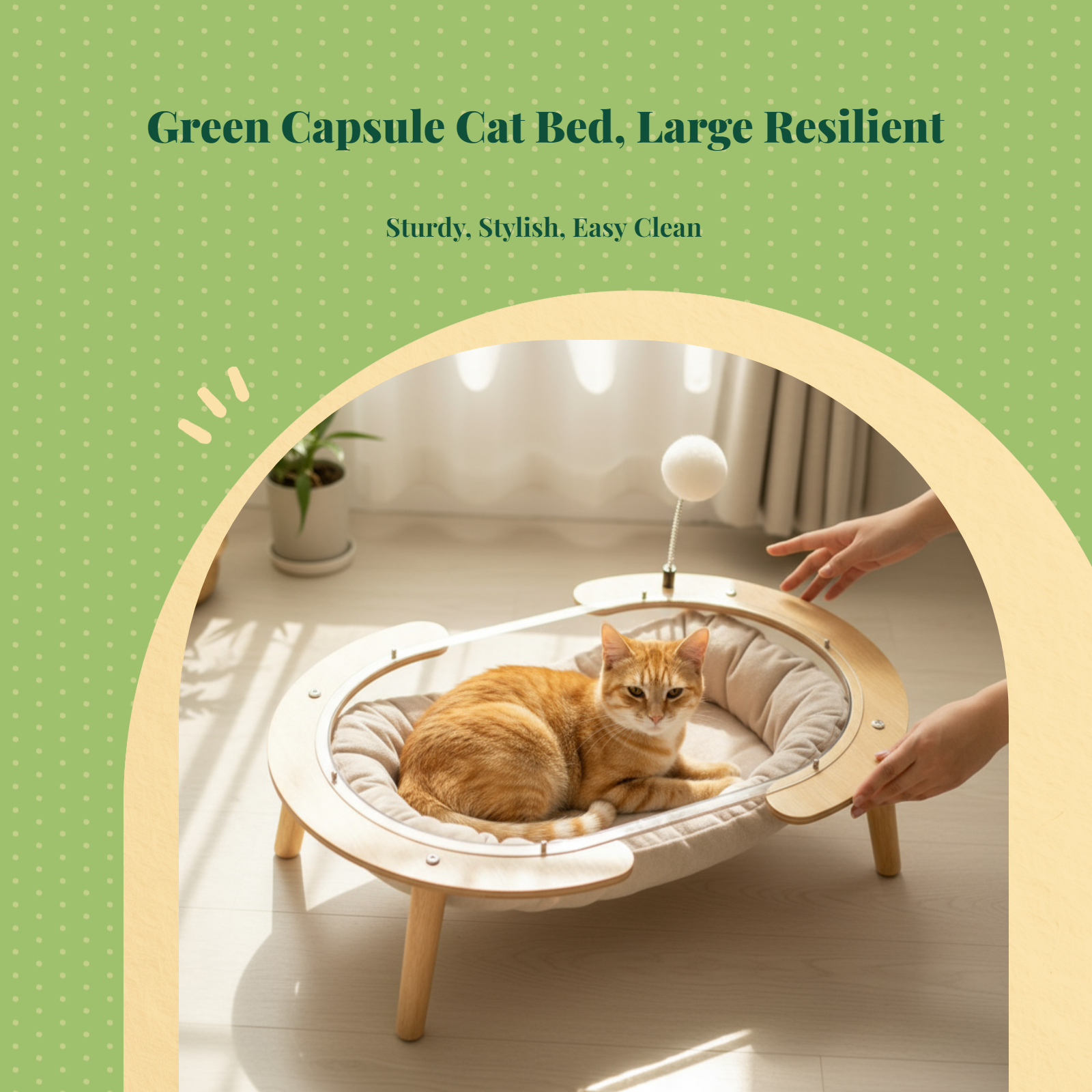 Wooden cat bed with acrylic window