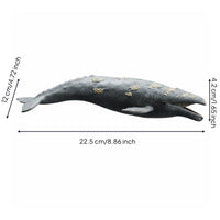 Realistic Animal Model Educational Marine Mammal Toy Cetacean Figure Model for Learning