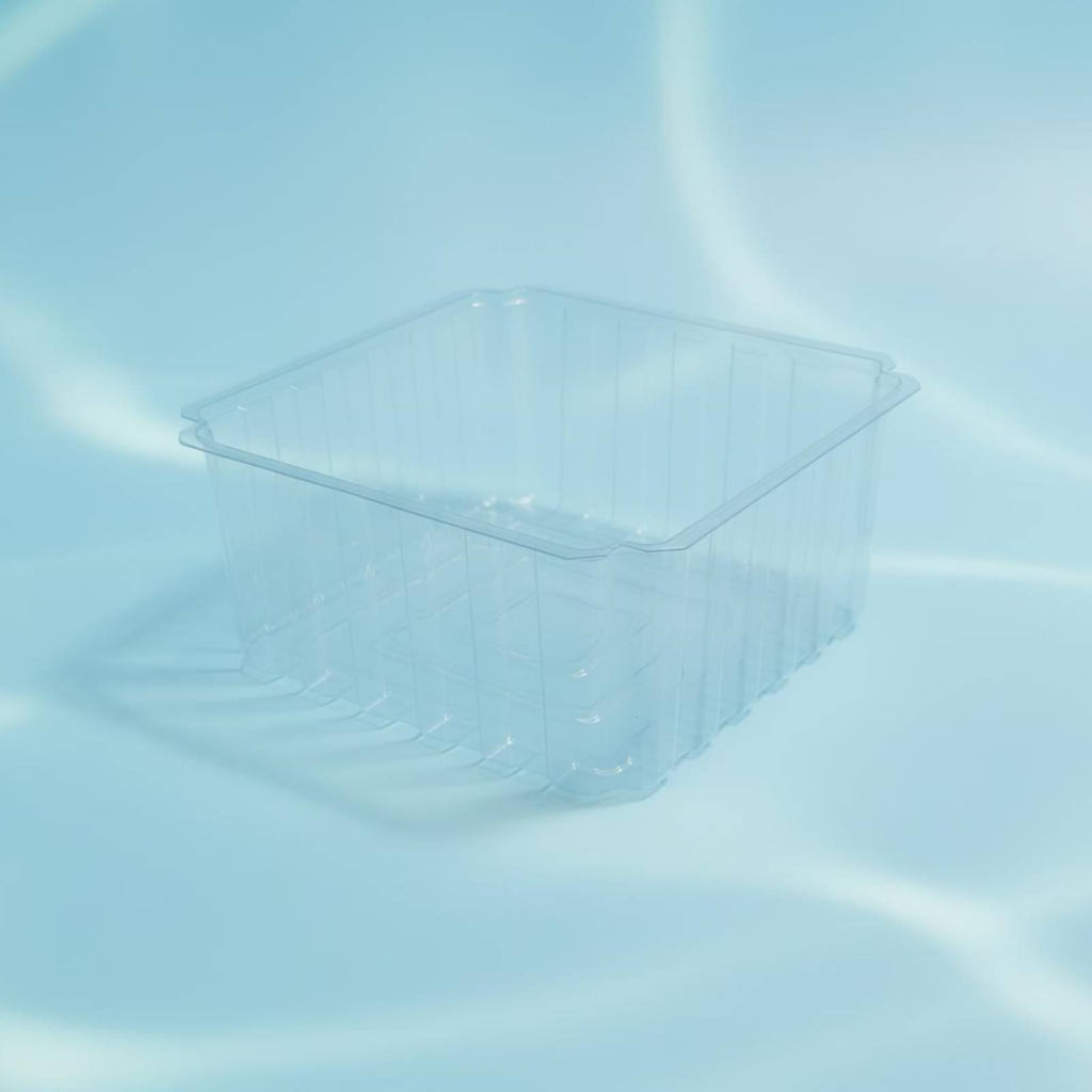 Deep Water Turtle Basin Multi-Functional Design Terrapin Basking Enclosure