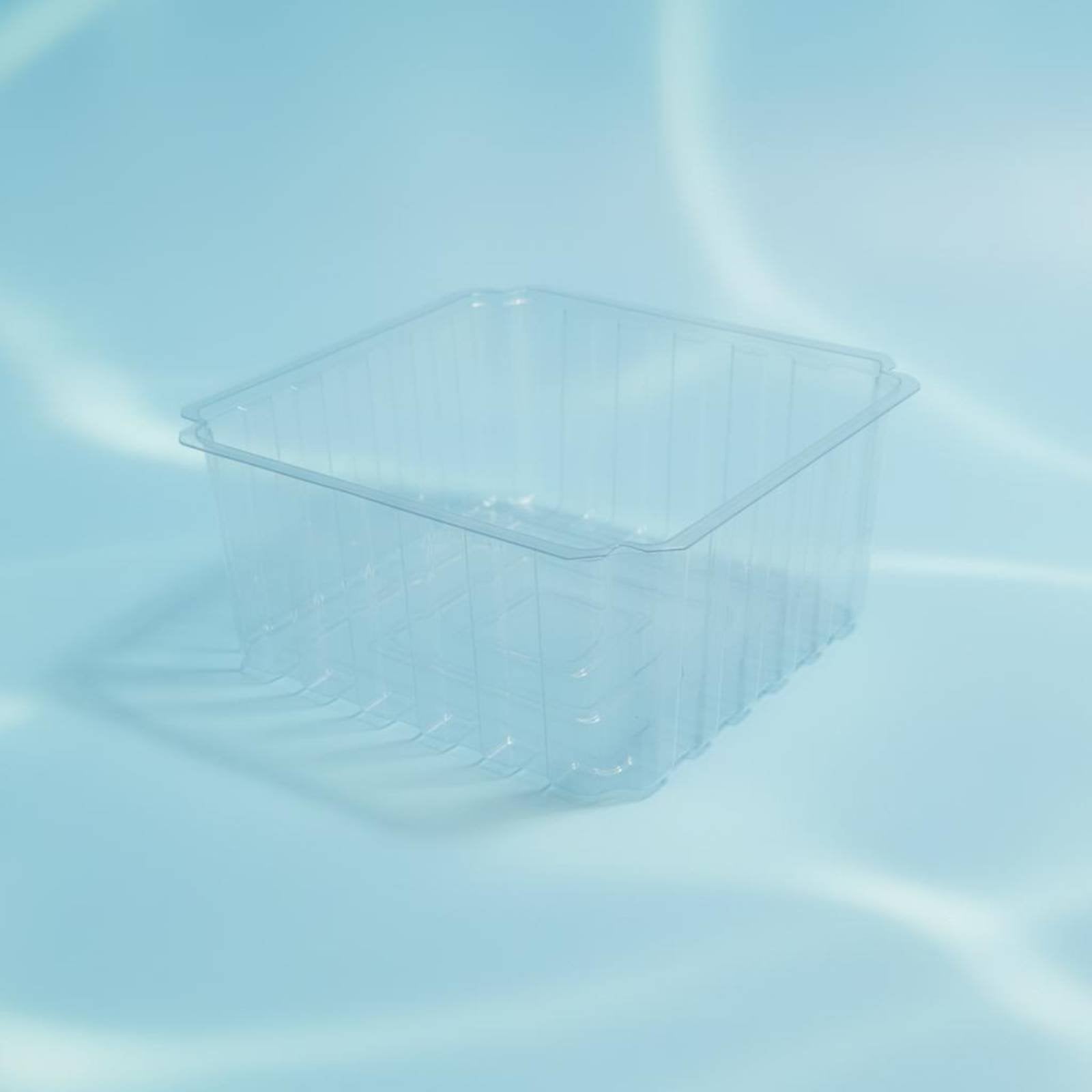 Deep Water Turtle Basin Multi-Functional Design Terrapin Basking Enclosure