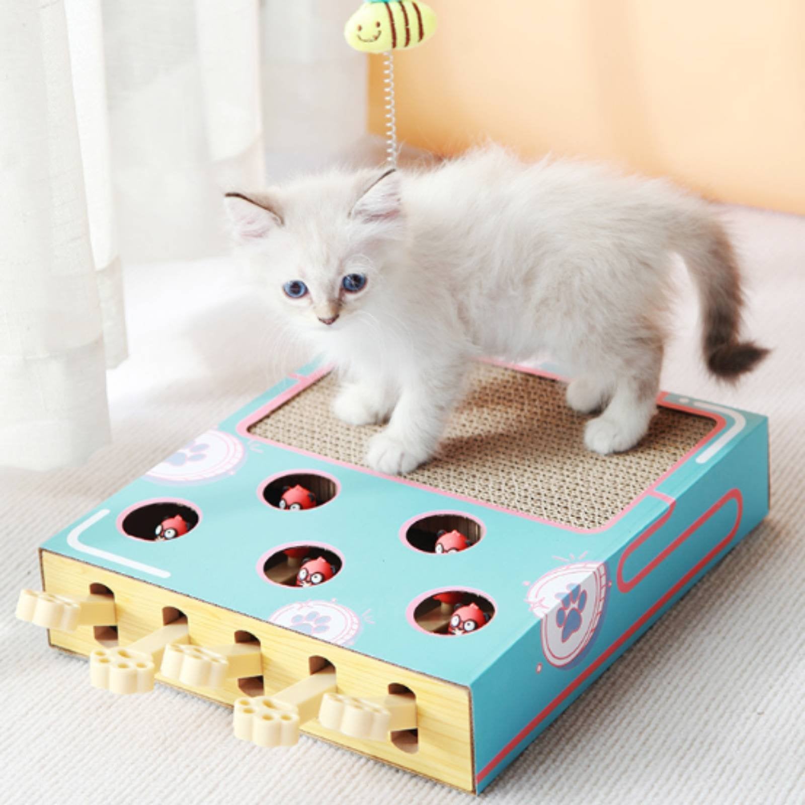 Interactive Kitten Scratcher Box Safe Materials Kitten Whack-a-Rodent Toy