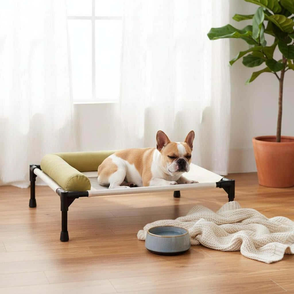 Dog Cot Bed Washable Elevated Dog Cot Raised from Floor for Summer, Hot Weather