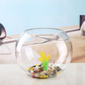 Large Round Glass Fish Bowl, Thickened Desktop Habitat