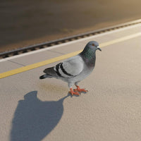 4 Pieces 1/64 Scale Pigeon Model Realistic Miniature Pigeon Model