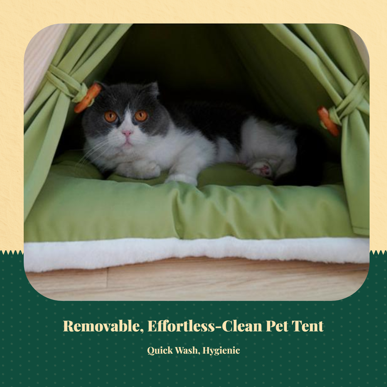 Cat tent bed: breathable privacy