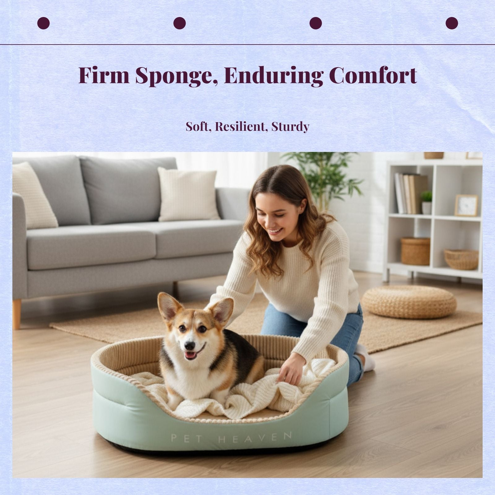 Removable washable dog bed