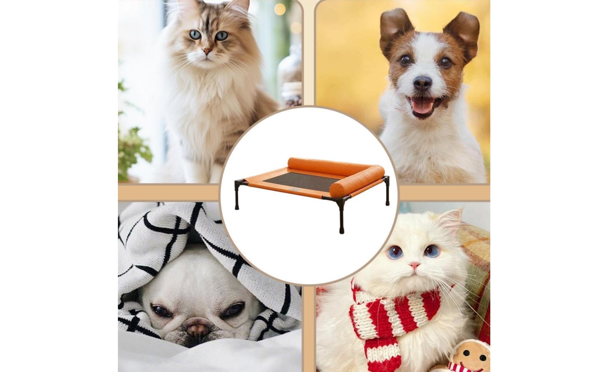 Year-Round Raised Dog Bed Washable Elevated Dog Cot Moisture-Proof Raised Pet Bed Easy to Clean for Small Dogs