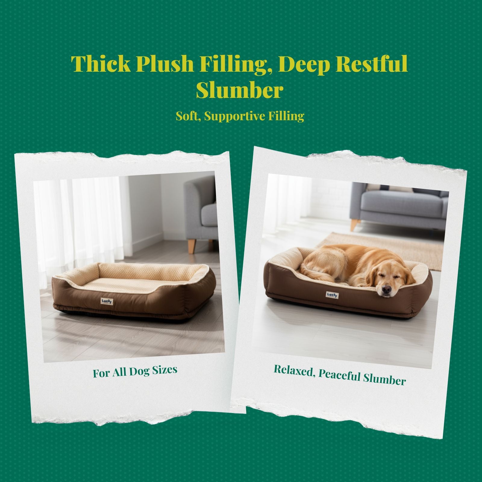 Dog Bed, Washable Non-Slip Plush Pet Mat, All-Season Comfort