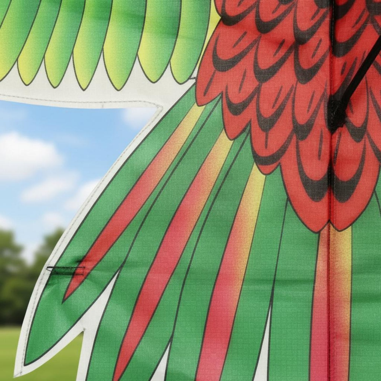 Colorful Parrot Kite Large Wing Span Outdoor Toy for Park