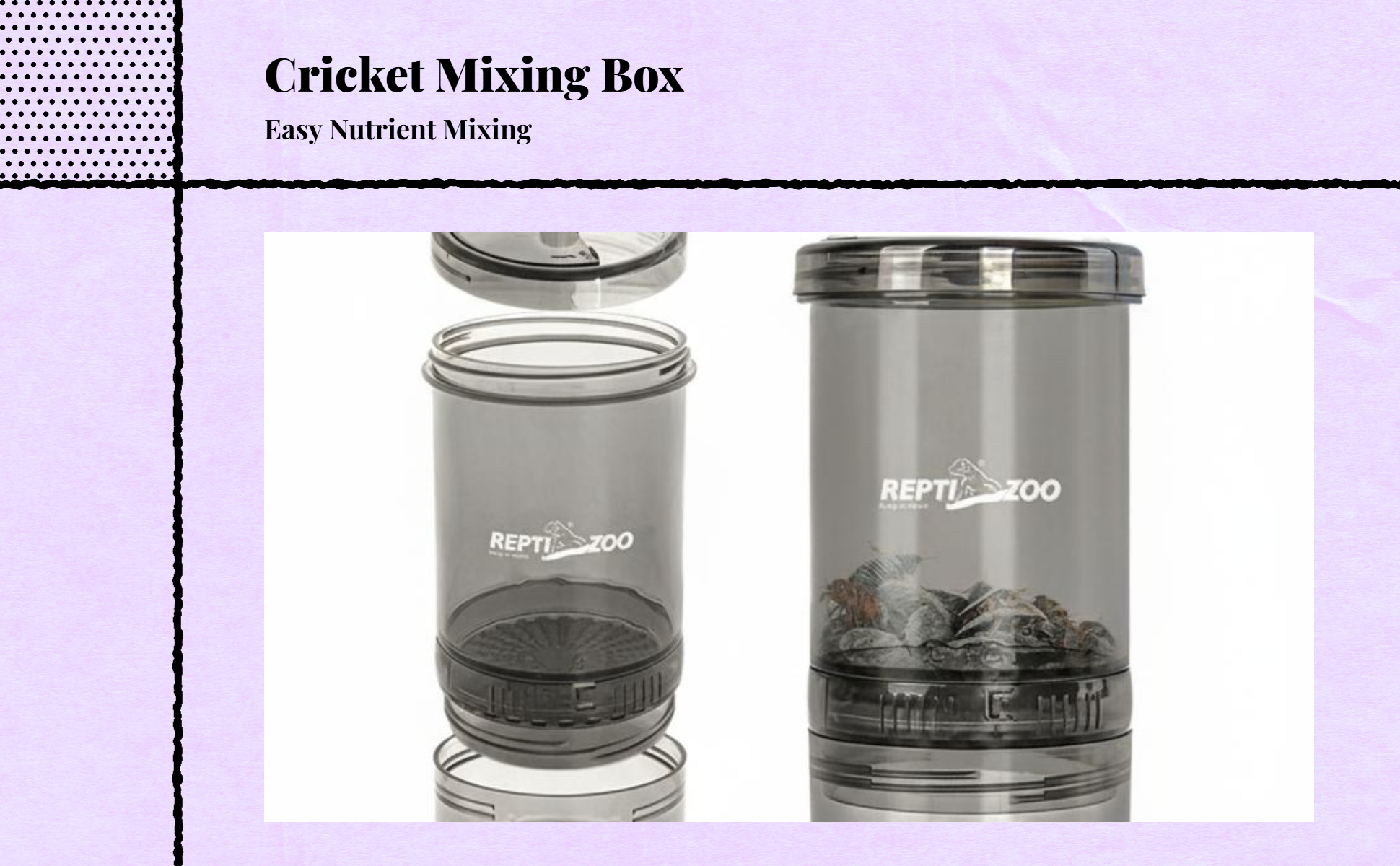 Ventilated box for cricket breeding.