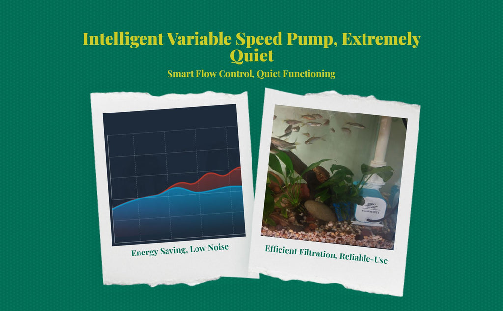 High-power quiet pump for tanks