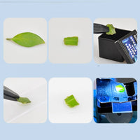 Optical Observation Tool Toy 1200x Magnification Student Biology Observation Tool Portable Biology Science Kit for Students, Classroom