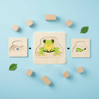 Creature Growth Brain Teaser Cartoon Design Developmental Creature Brain Teaser