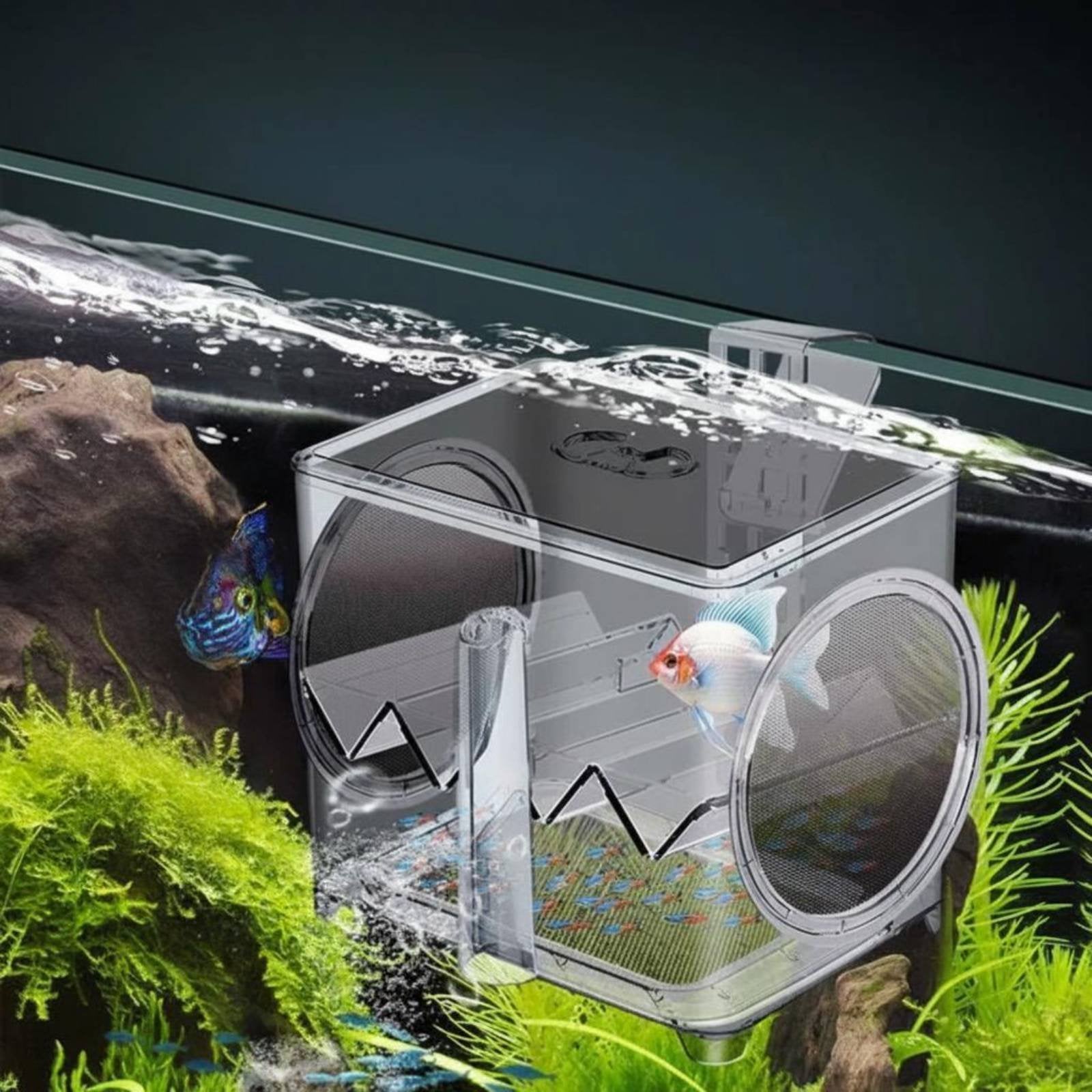 Aquatic Breeding Box Isolation Aquatic Hatchery Easy to Clean