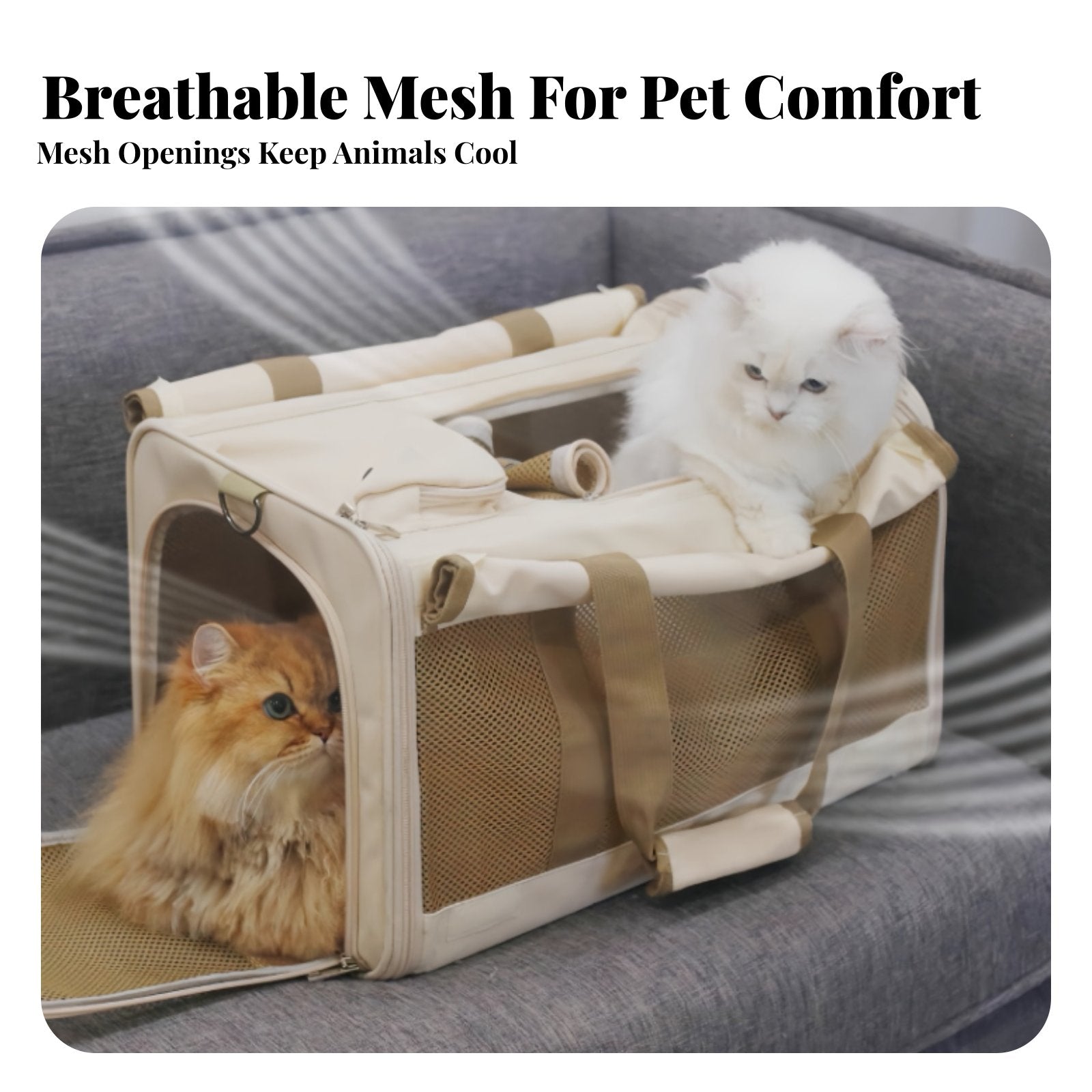Soft-Sided Pet Tote Large Capacity Mesh Travel Bag for Pets Spacious Interior