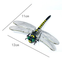 Simulation Dragonfly Toy Complimentary Model Multiple Attachments