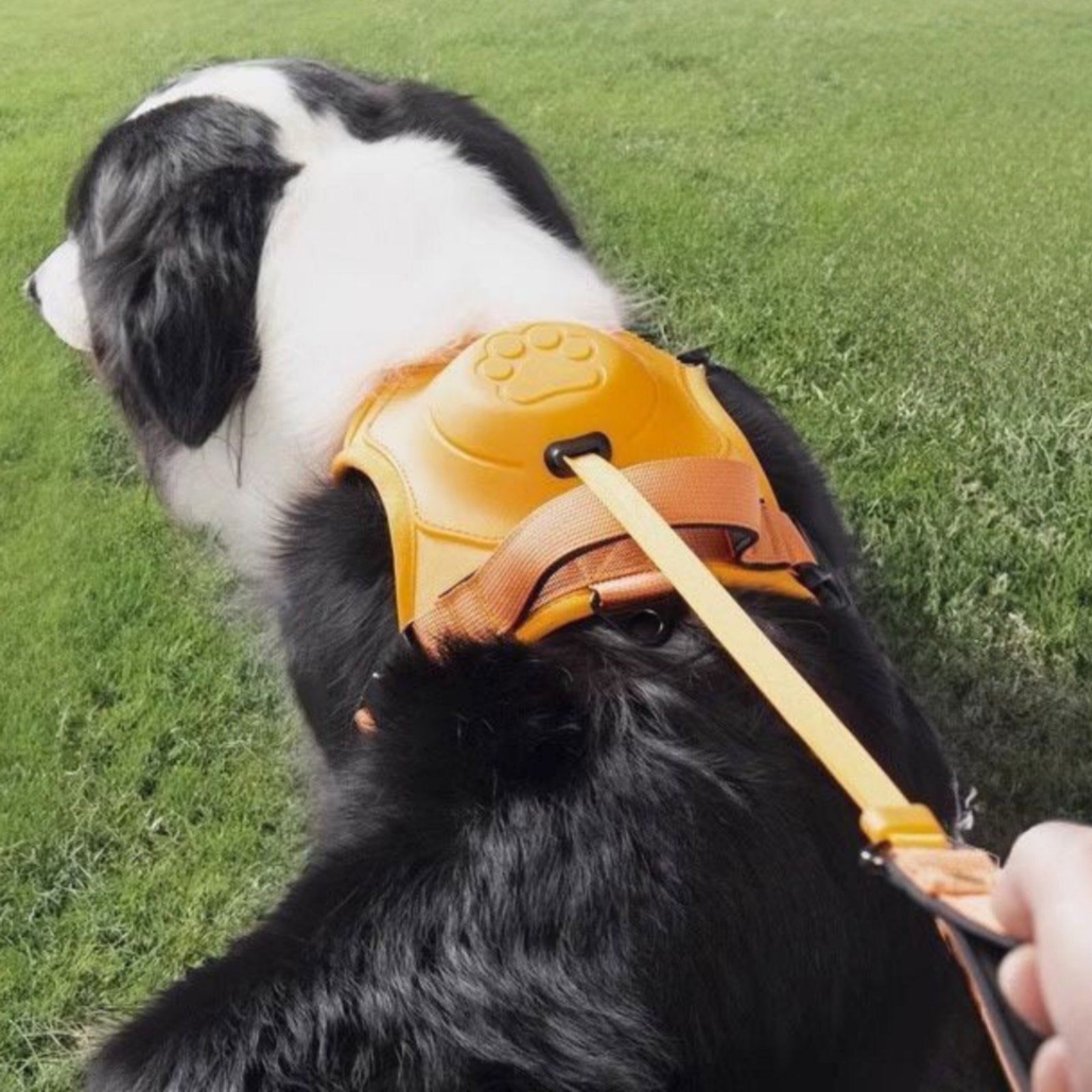 Retractable Dog Leash Harness Adjustable Pet Gear Easy Control for Large Dogs