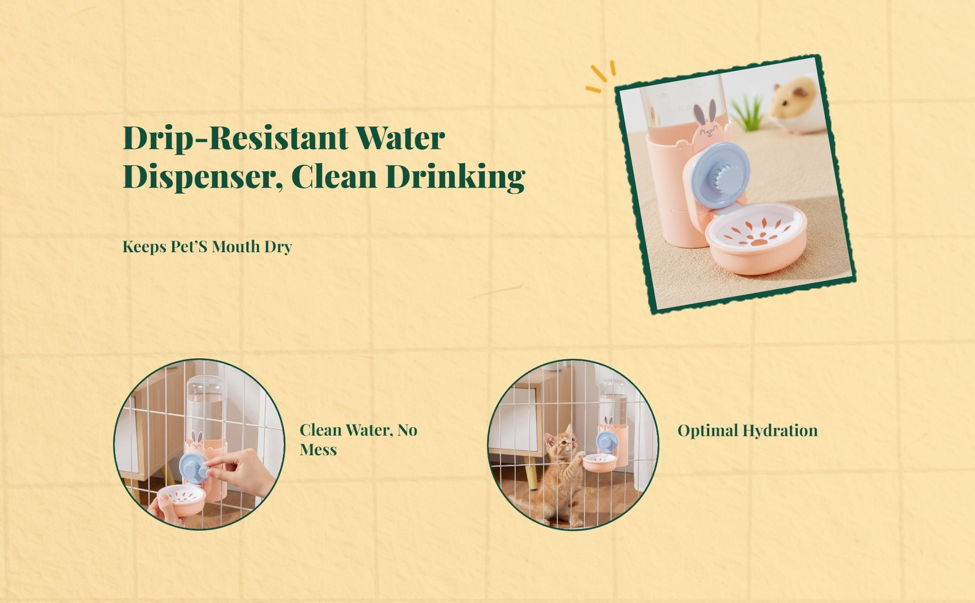 Leakproof Hare Water Bottle