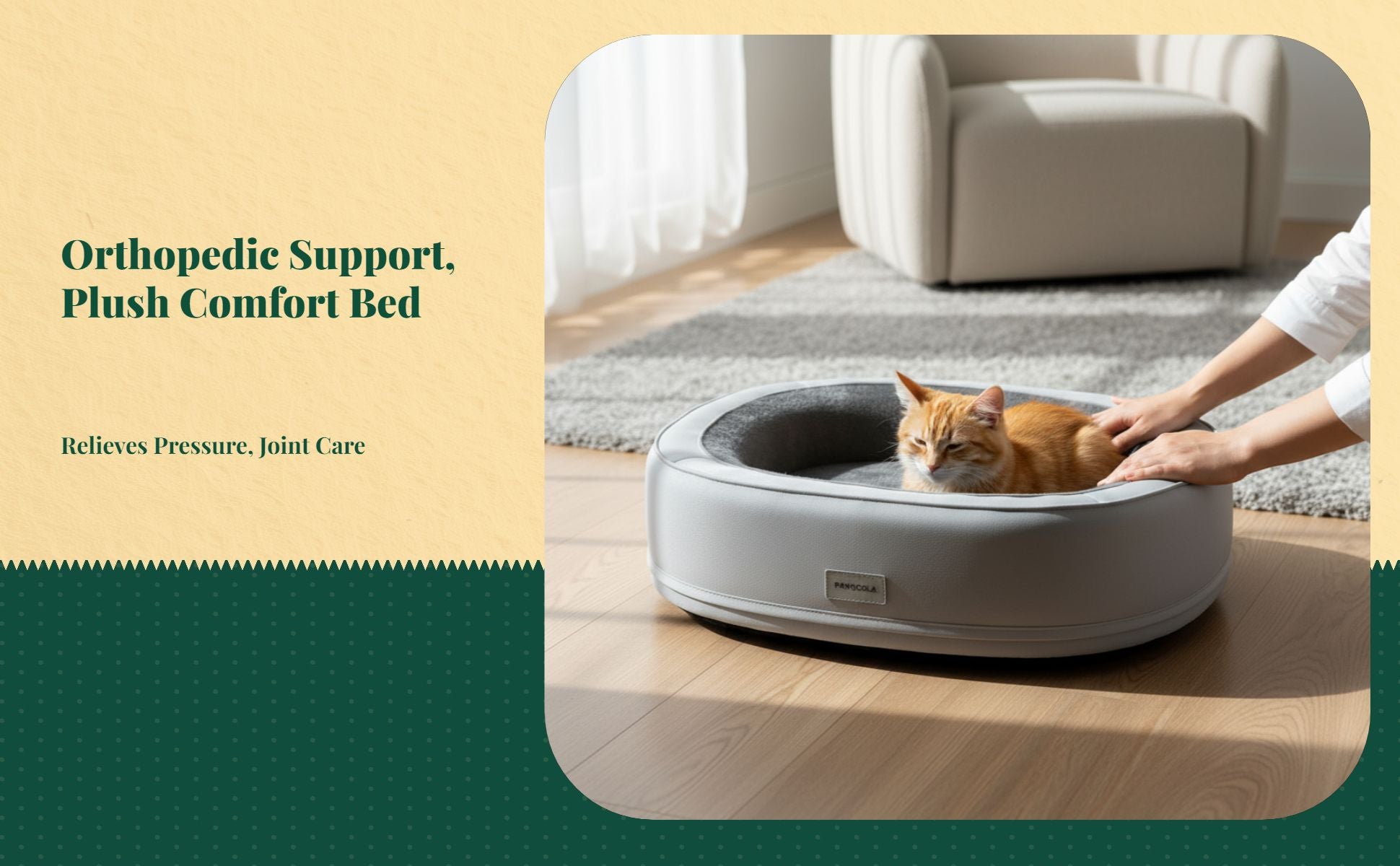 Orthopedic dog bed, thick padding