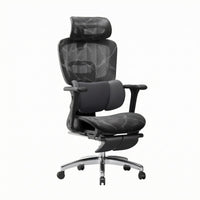 Ergonomic Mesh Office Chair Polished Metal Highspine Mesh Chair Sturdy-Duty