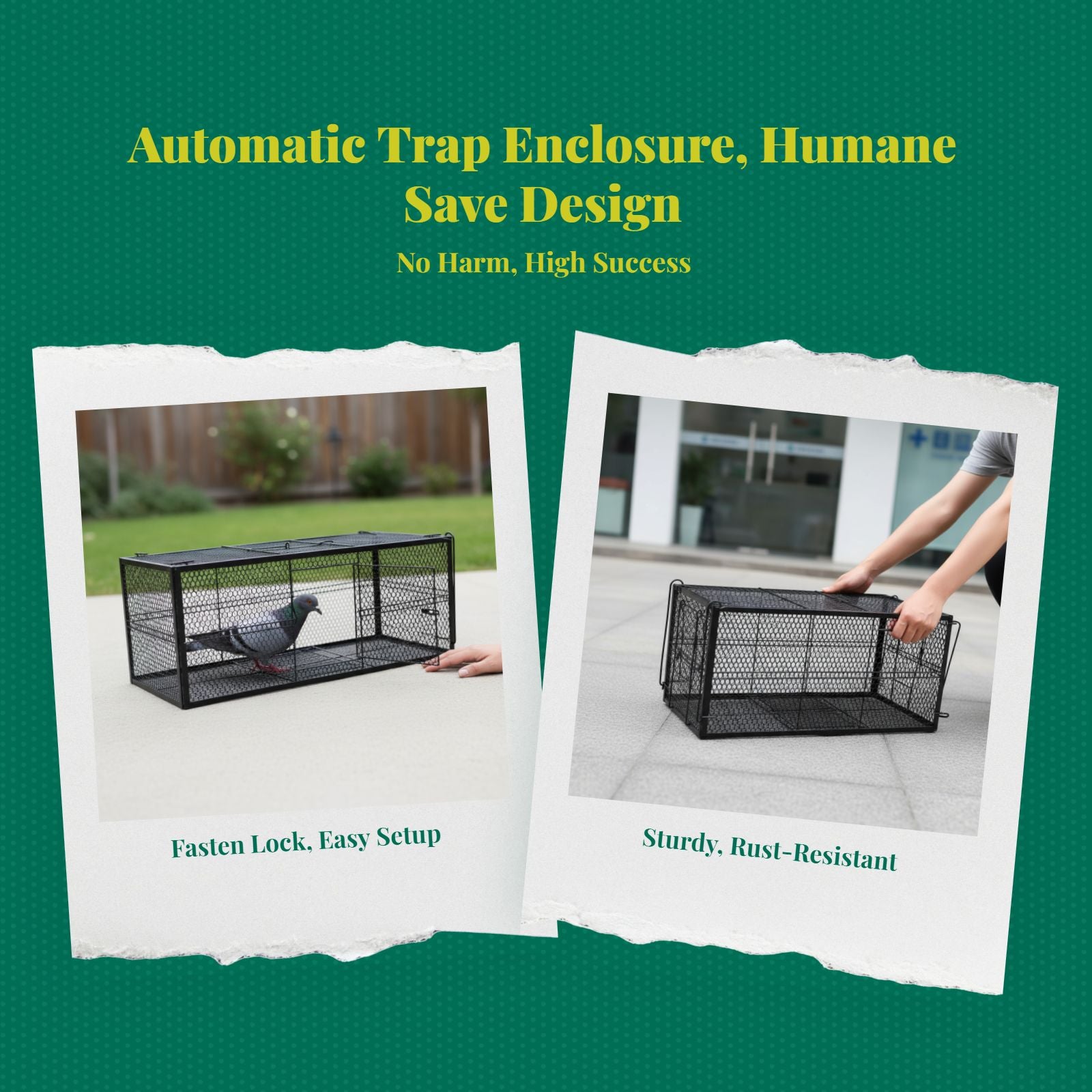 Steel automatic pet trap
