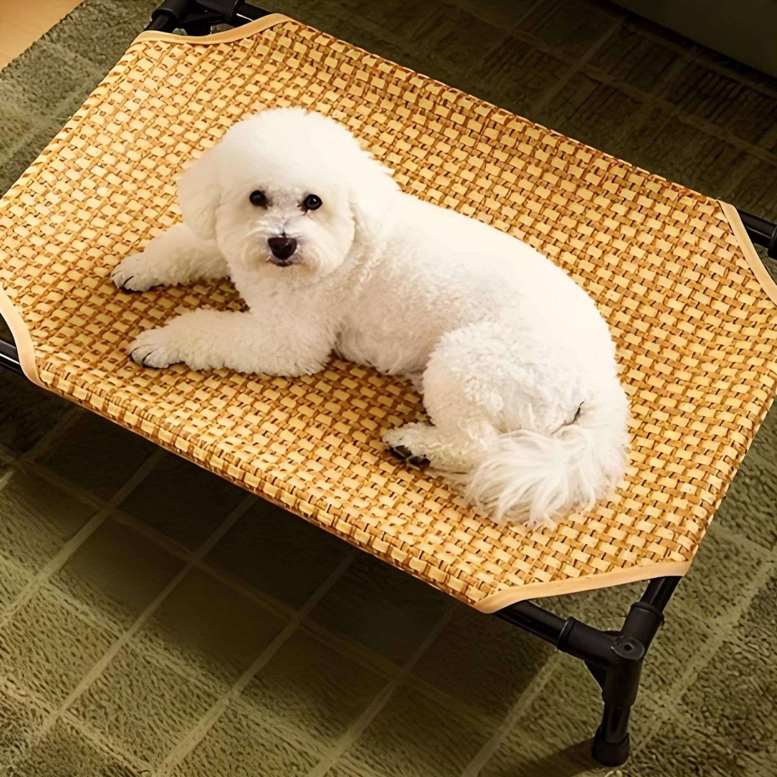 Elevated Dog Bed Detachable Washable Raised Dog Bed Breathable for Year-Round