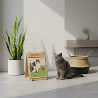 Calendar Cat Scratcher Furniture Protector Pet Supplies Replaceable Pads