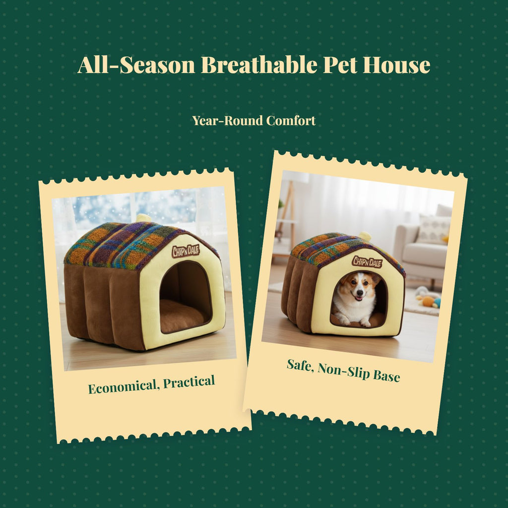 Insulated pet house with removable indoor bed