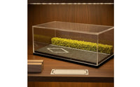 1:64 Car Display Box Collectible Storage for Desk, Collectors