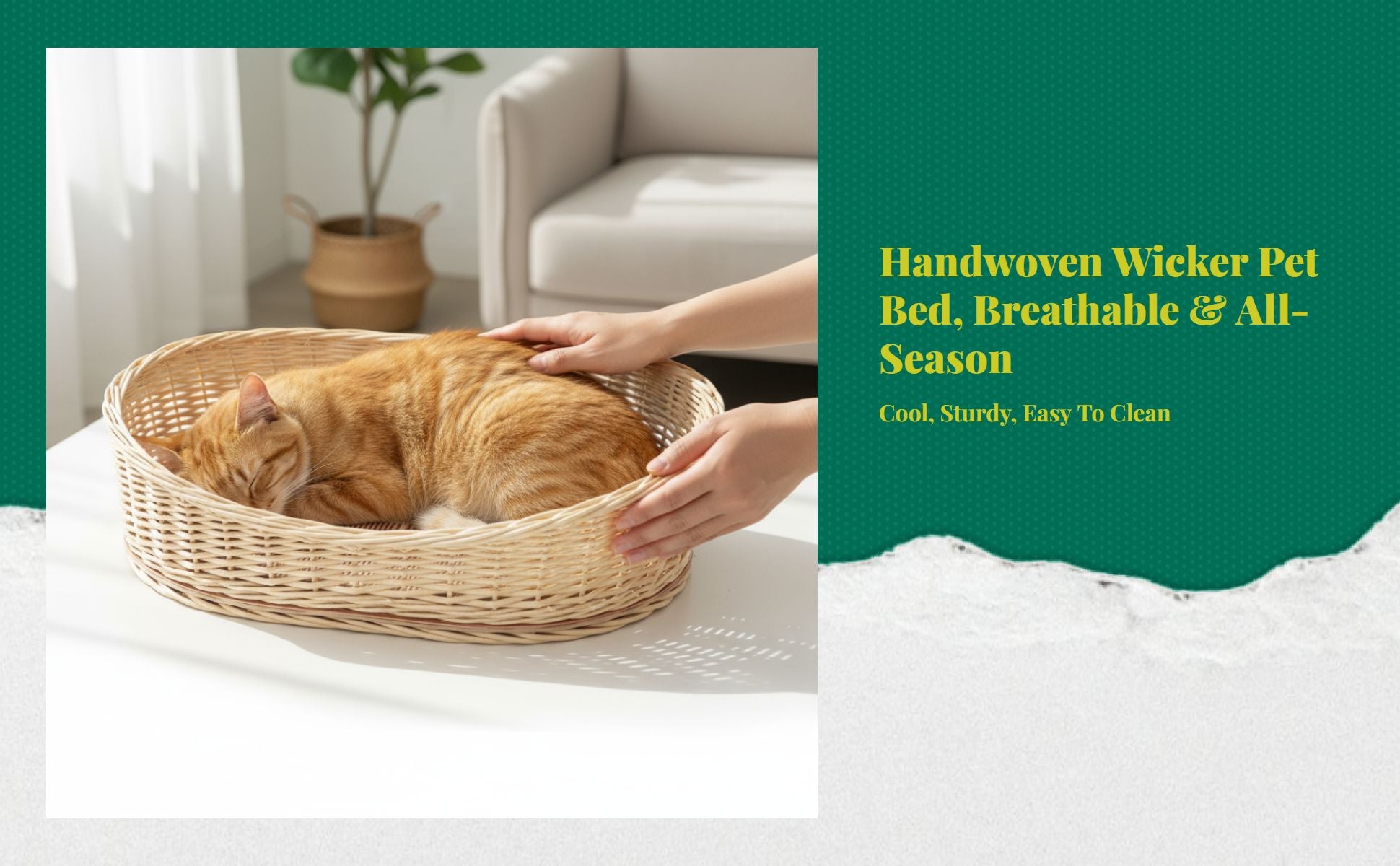 Rattan Pet Bed, Cooling Cat Cave, Removable Pad, Cleanable
