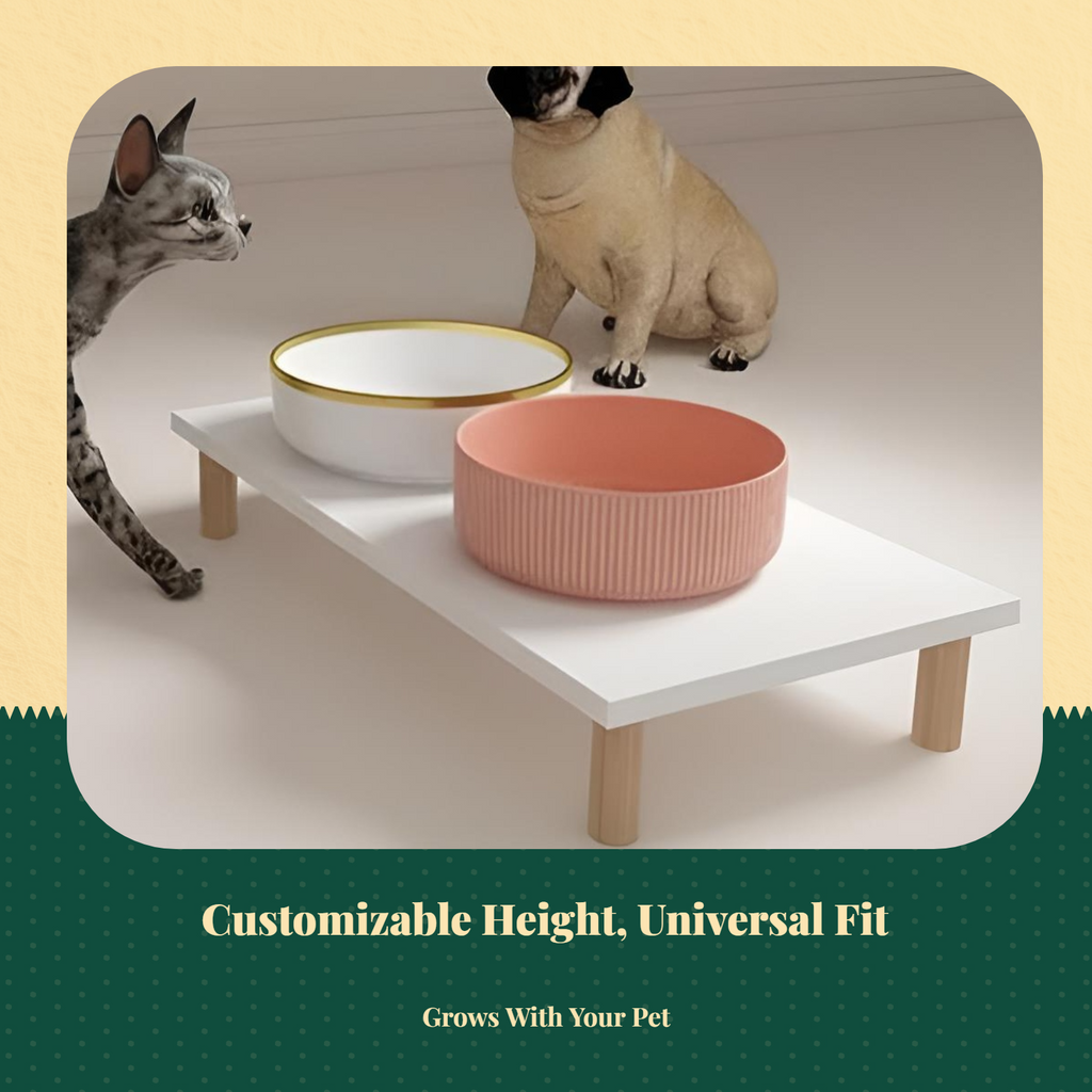Automatic Cat Feeder Stand, Adjustable, Non-Slip, Universal