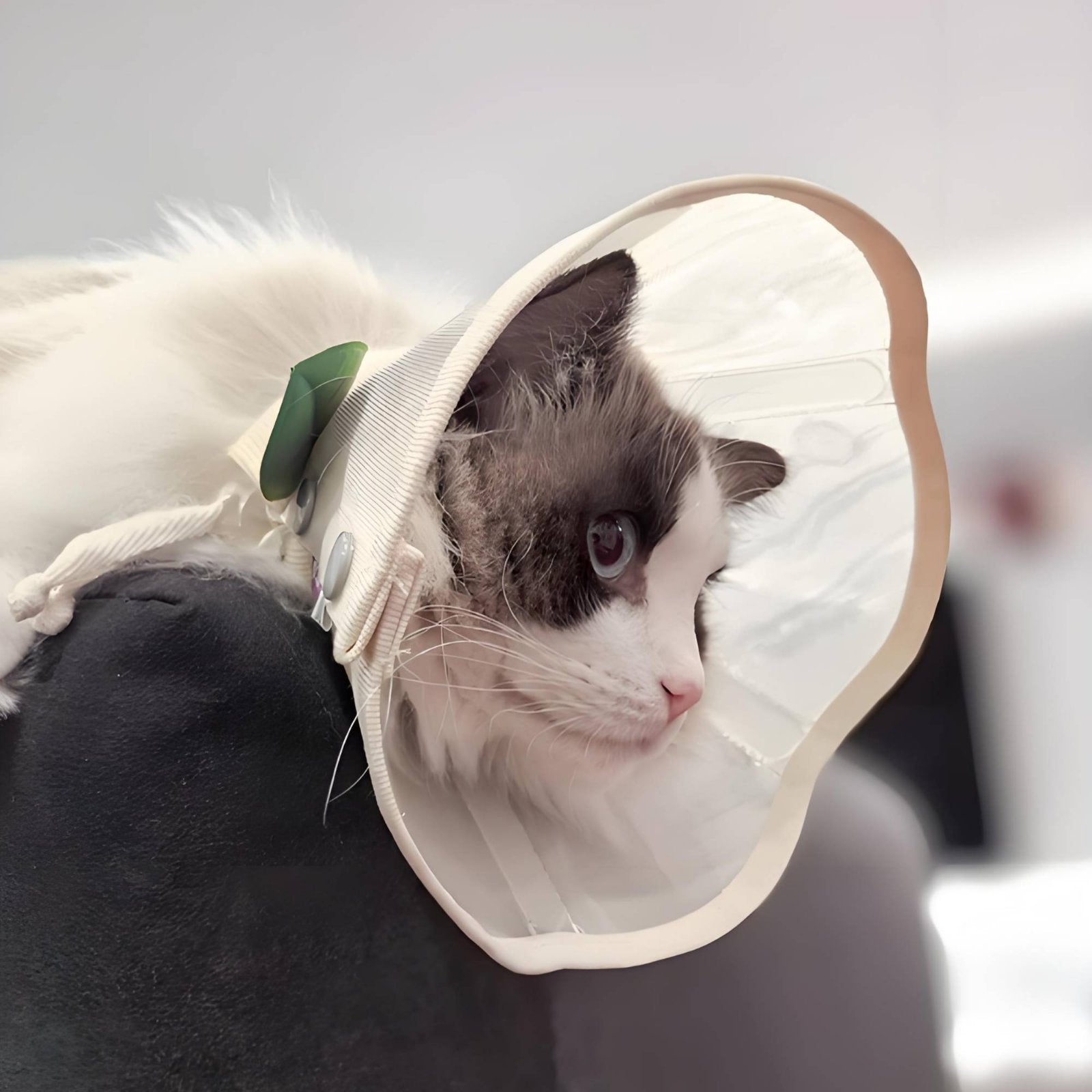Elizabethan Collar Anti-Lick Breathable E-Collar Easy to Clean for Recovery