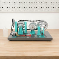 Gear Drive Model Visual Demonstration Chain Drive Model Easy to Use