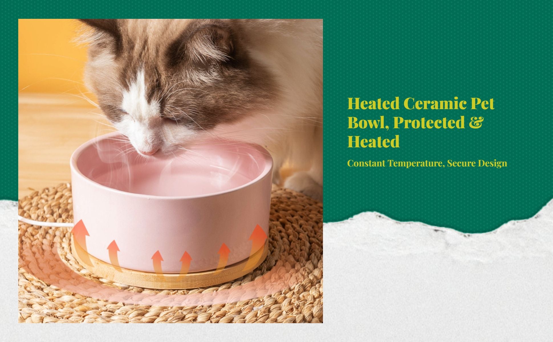 Ceramic pet fountain with filtration
