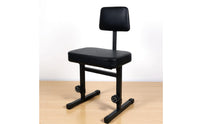 Adjustable Piano Stool with Backrest Heavy Duty Piano Bench Musical Instrument Accessory for Pianists