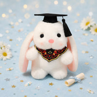 Cap and Gown Rabbit Gift Idea Graduation Rabbit Stuffed Toy Rolled Scroll
