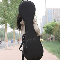 Pipa Case Waterproof Padded Pipa Bag Shockproof for Travel, Storage, Musicians