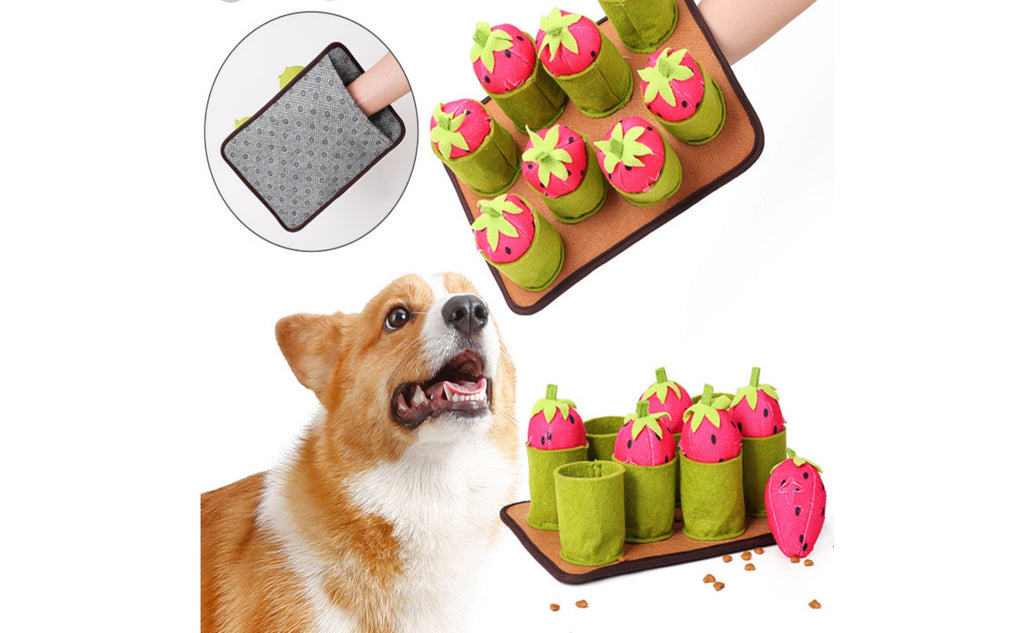 Strawberry Snuffle Mat Mental Stimulation Soft Food Hiding Dog Toy