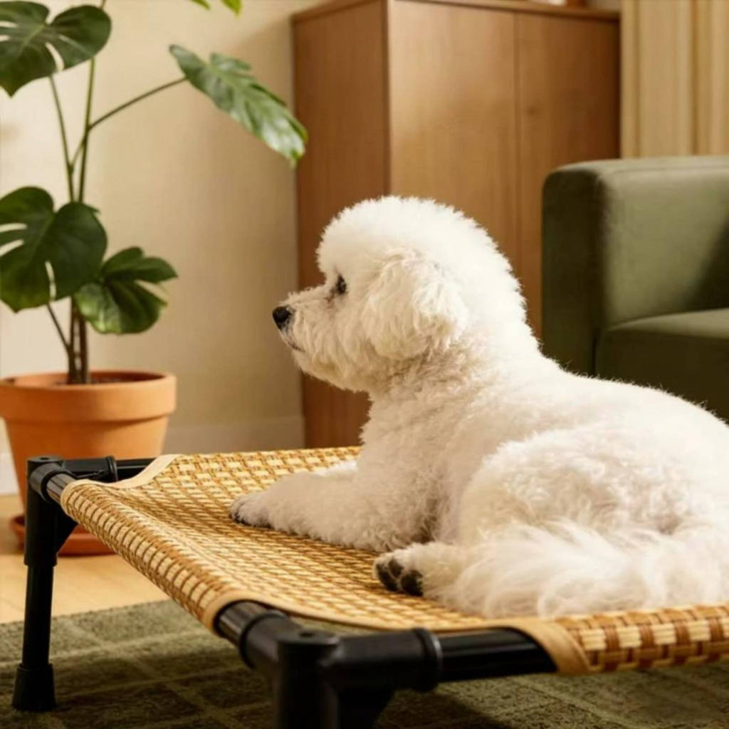 Elevated Dog Bed Detachable Washable Raised Dog Bed Breathable for Year-Round
