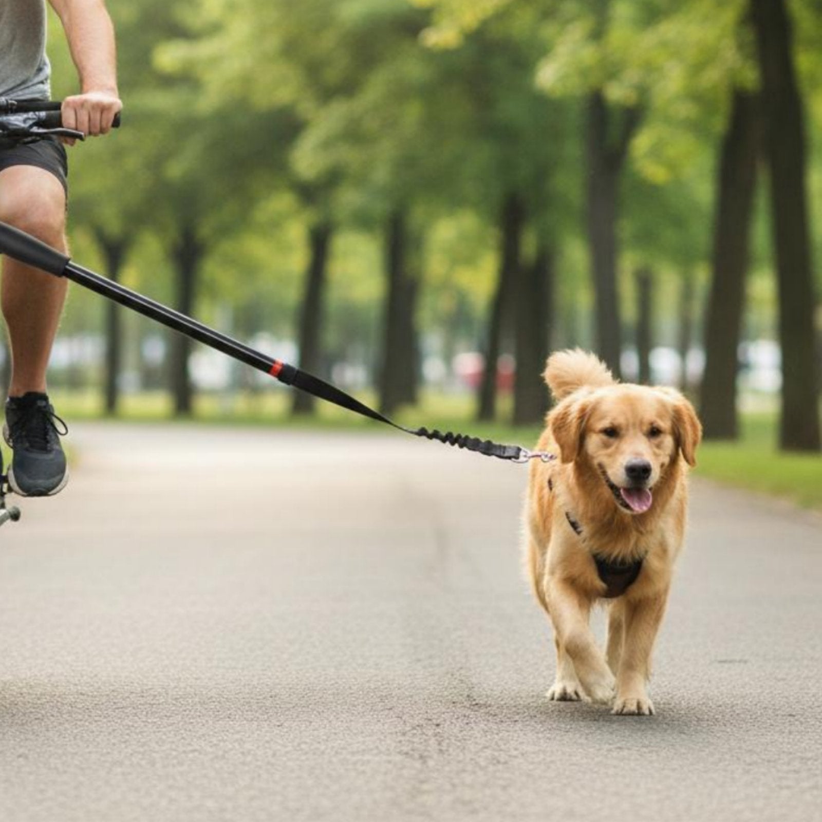 Cycle Dog Leash Easy to Install Bike Leash Quick Release for Jogging