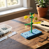 DIY Wind Vane Kit Educational Wind Vane Kit Hands-on for Kids, Beginners