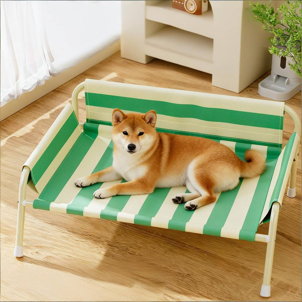 Elevated Dog Bed Water-Resistant-Proof Raised Pet Cot Long-Lasting for Indoor